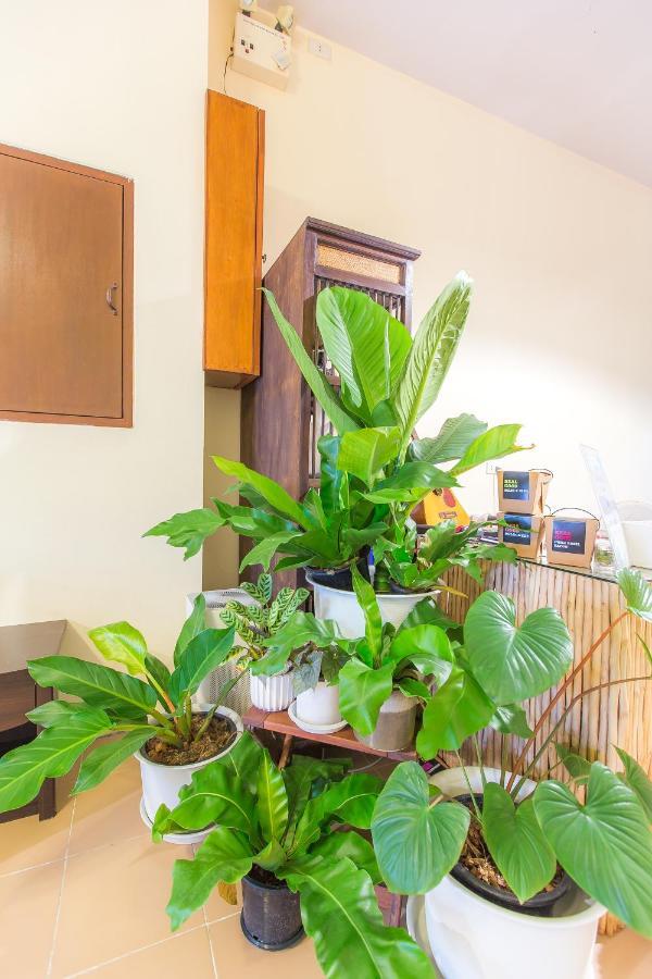 The Little Siri Hotel Chiang Mai Ngoại thất bức ảnh
