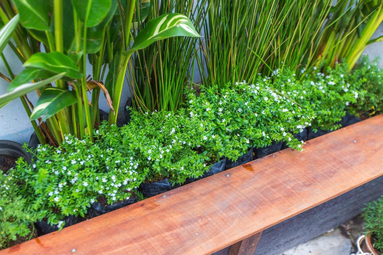The Little Siri Hotel Chiang Mai Ngoại thất bức ảnh