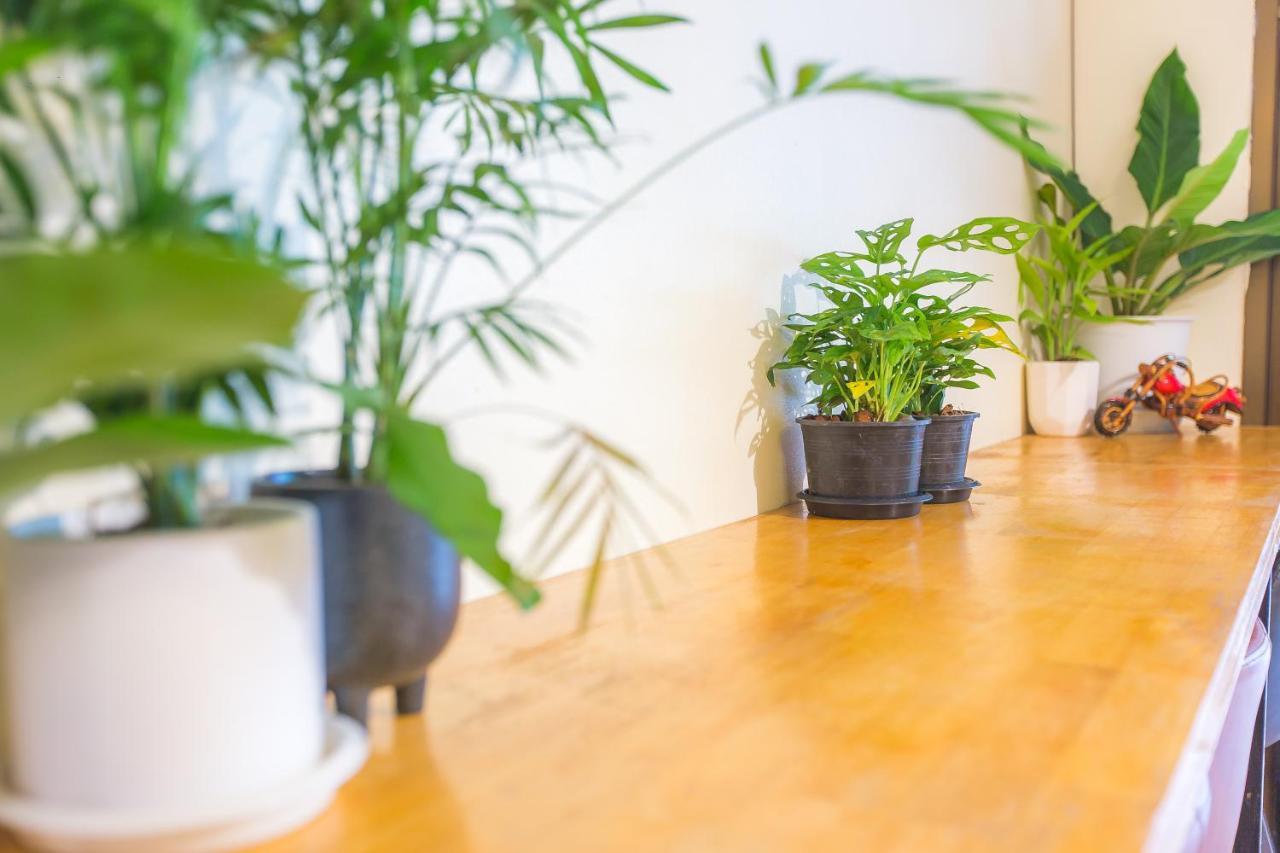 The Little Siri Hotel Chiang Mai Ngoại thất bức ảnh