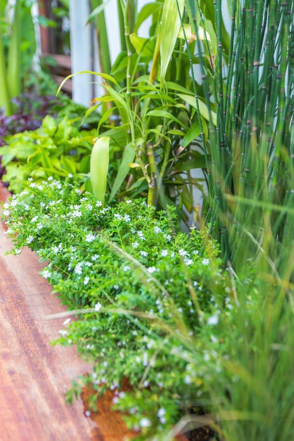 The Little Siri Hotel Chiang Mai Ngoại thất bức ảnh